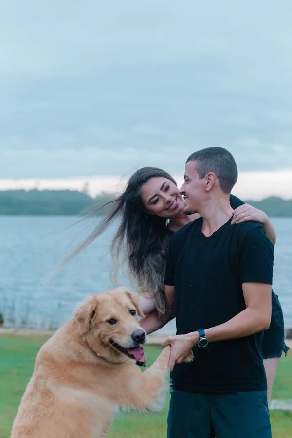 Golden Retriever e crianças: como construir uma convivência segura e feliz